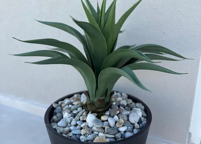 Daisy, Near Zadar With Private Heated Pool *